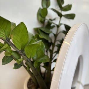 نوار لبه سفید براق