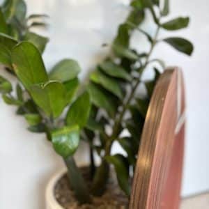 نوار لبه گردویی یک 120 مات